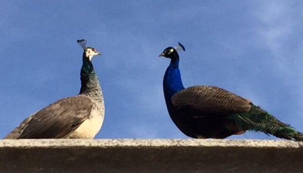 37b364ee-6a62-4d88-97ed-7d04e770f6bd